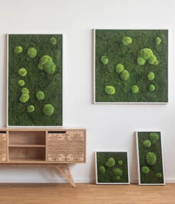 StyleGREEN Bild Aus Wald- Und Kugelmoos, Quadratisch, Ca. B35/H35/T6 Cm -Compo Verkaufsgeschäft 6429948 WE MO 001 Wald Kugelmoosbild35x35cmStylegreen