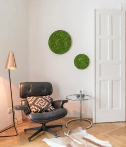 StyleGREEN Bild Aus Kugelmoos, Ellipsoid, Ca. Ø54 Cm -Compo Verkaufsgeschäft 6429963 WE MO 001 KugelmoosEllipsoid54cmStylegreen