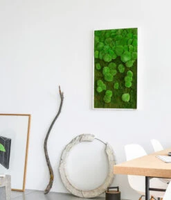 StyleGREEN Bild Aus Wald- Und Kugelmoos Im Verlauf, Ca. B100/H60/T7 Cm -Compo Verkaufsgeschäft 6430631 WE MO 002 Wald Kugelmoosbild100x60cmStylegreen
