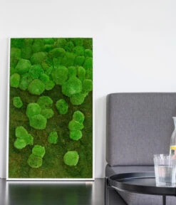 StyleGREEN Bild Aus Wald- Und Kugelmoos Im Verlauf, Ca. B100/H60/T7 Cm -Compo Verkaufsgeschäft 6430631 WE MO 003 Wald Kugelmoosbild100x60cmStylegreen