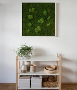StyleGREEN Bild Aus Wald- Und Kugelmoos, Quadratisch, Ca. B80/H80/T7 Cm -Compo Verkaufsgeschäft 6430649 WE MO 001 Wald Kugelmoosbild80x80cmStylegreen