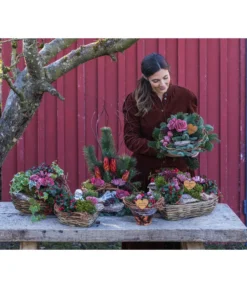 Grabgesteck In Liebe, Ca. B60/H80/T40 Cm -Compo Verkaufsgeschäft 6462857 WE MO 002 SerieInLiebePremiumAllerheiligen202301