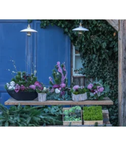 Grabgesteck Unvergessen, Ca. B60/H60/T40 Cm -Compo Verkaufsgeschäft 6462931 WE MO 001 SerieUnvergessenPremiumAllerheiligen2023 1