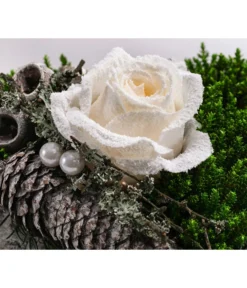 Grabgesteck Stille, Ca. B60/H55/T45 Cm -Compo Verkaufsgeschäft 6462964 WE DE 001 SerieStillePremiumAllerheiligen2023