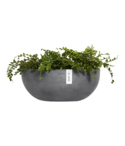 Ecopots Kunststoff-Schale Sofia Wall Mit Wassersystem, Oval, Grau, Ca. B43/H17,5/T25 Cm -Compo Verkaufsgeschäft 6614515 WE FS 003 EcopotsKunststoffSchaleSofiaWallmitWassersystemovalgrau