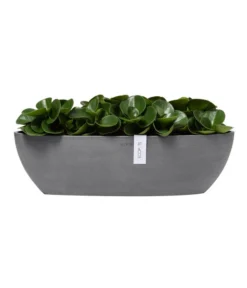 Ecopots Kunststoff-Schale Sofia Mit Wassersystem, Oval, Ca. B56/H16/T14 Cm -Compo Verkaufsgeschäft 6614580 WE FS 003 EcopotsKunststoffSchaleSofialangmitWassersystemoval