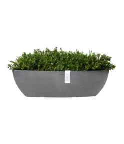 Ecopots Kunststoff-Schale Sofia Mit Wassersystem, Oval, Ca. B56/H16/T14 Cm -Compo Verkaufsgeschäft 6614580 WE FS 004 EcopotsKunststoffSchaleSofialangmitWassersystemoval