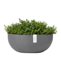 Ecopots Kunststoff-Schale Sofia Mit Wassersystem, Oval, Grau, Ca. B43/H17,5/T25 Cm -Compo Verkaufsgeschäft 6614713 WE FS 004 EcopotsKunststoffSchaleSofiabreitovalgrau