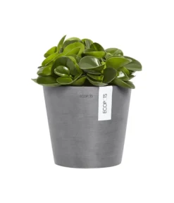 Ecopots Kunststoff-Topf Amsterdam Wall, Rund, Grau, Ca. Ø21,8/H17,5 Cm -Compo Verkaufsgeschäft 6614887 WE FS 003 EcopotsKunststoffTopfAmsterdamWallrundgrau