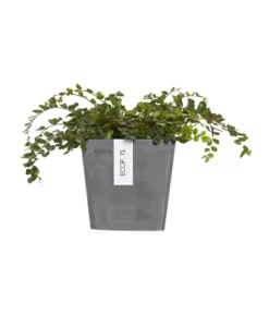 Ecopots Kunststoff-Kasten Manhattan Mit Wassersystem, Grau -Compo Verkaufsgeschäft 6614895 WE FS 003 EcopotsKunststoffTopfManhattanWallSmitWassersystemquadratischgrau