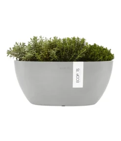 Ecopots Kunststoff-Schale Sofia Mit Wassersystem, Oval, Ca. B30/H13,5/T13 Cm -Compo Verkaufsgeschäft 6614903 WE FS 003 EcopotsKunststoffSchaleSofiamitWassersystemoval