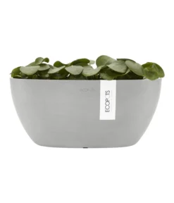 Ecopots Kunststoff-Schale Sofia Mit Wassersystem, Oval, Ca. B30/H13,5/T13 Cm -Compo Verkaufsgeschäft 6614903 WE FS 004 EcopotsKunststoffSchaleSofiamitWassersystemoval