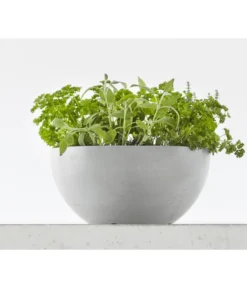 Ecopots Kunststoff-Topf Brussels, Rund -Compo Verkaufsgeschäft 6614978 WE MO 001 EcopotsKunststoffTopfBrusselsrund