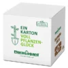 Floragard Blumenerde Box, 60 L