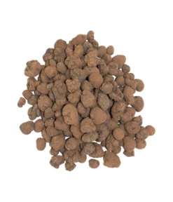 Floragard Tongranulat -Compo Verkaufsgeschäft 6624290 WE DE 001 FloragardTongranulat