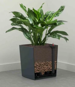 Siena Garden Kunststoff-Topf Biron, Eckig, Ca. B40/H41,5/T40 Cm -Compo Verkaufsgeschäft 6655336 WE DE 002 PflanzgefaessBironGraphit