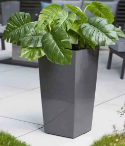 Siena Garden Kunststoff-Säule Lyon, Konisch, Ca. B35/H68/T35 Cm 8 Siena Garden Kunststoff-Säule Lyon, Konisch, Ca. B35/H68/T35 Cm -Compo Verkaufsgeschäft 6655351 WE MO 002 PflanzgefaessLyon35Anthrazit