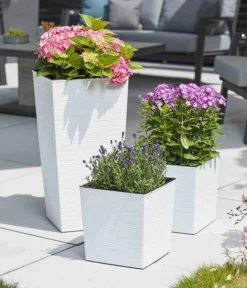 Siena Garden Kunststoff-Säule ECO Nizza, Konisch, Ca. B30/H57/T30 Cm -Compo Verkaufsgeschäft 6655385 WE MO 003 PflanzgefaessNizza30Weiss