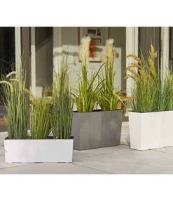 Siena Garden Kunststoff-Kasten Craon, Eckig, Grau, Ca. B56/H36,5/T19 Cm -Compo Verkaufsgeschäft 6655492 WE MO 002 PflanzgefaessCraonGrau