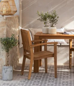 Olive, Stamm, In Keramik, Ca. Ø17/H90 Cm -Compo Verkaufsgeschäft 6657415 WE MO 002 GruppeHavanna