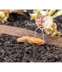 Windhager Schneckenzaun, Ca. L8 M -Compo Verkaufsgeschäft 6663322 WE MO 001 WindhagerSchneckenzaun