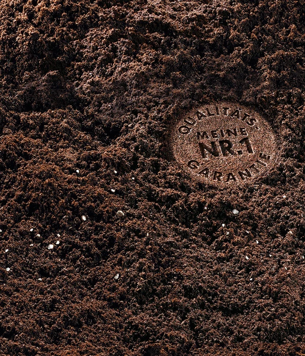 COMPO SANA® Grünpflanzen- Und Palmenerde, 40 L 3 COMPO SANA® Grünpflanzen- Und Palmenerde, 40 L – Bild 3