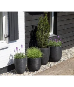 Capi Europe Kunststoff-Topf Rib Hoch, Rund -Compo Verkaufsgeschäft 6697304 WE MO 002 CapiEuropeKunststoffTopfRibrund