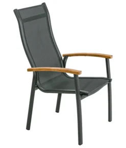 Dehner Stapelstuhl Chicago Wood