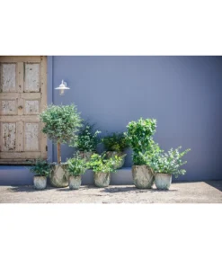 Dehner Keramik-Topf Rombus -Compo Verkaufsgeschäft 6703276 6703284 6703292 6703300 WE MO 002 DehnerKeramikTopfRombus