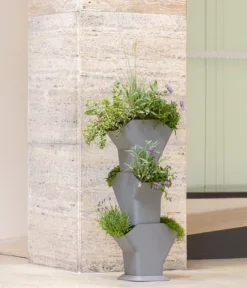 Kunststoff-Pflanzbaum-Set, Grau, Ca. B31,3/H77,3/31,3 Cm -Compo Verkaufsgeschäft 6739528 WE MO 005 KunststoffPflanzbaumSetgrau