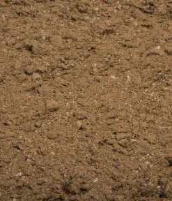 COMPO BIO Naturdünger Mit Guano -Compo Verkaufsgeschäft 6768451 WE DE 003 COMPOBIONaturduengermitGuano