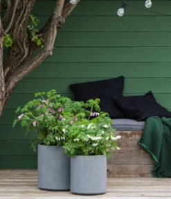 Vasar Kunststoff-Topf City, Grau -Compo Verkaufsgeschäft 6770911 6771166 6771190 WE MO 003 VasarKunststofftopfCityGrau