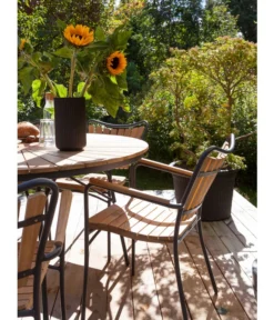 Cinas Stapelstuhl Ellen -Compo Verkaufsgeschäft 6843569 WE MO 002 EllenArmlehnstuhl