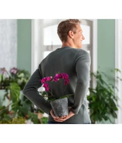 Dehner Keramik-Übertopf Nature Earth, Konisch, Grau, Ca. Ø14 Cm 6 Dehner Keramik-Übertopf Nature Earth, Konisch, Grau, Ca. Ø14 Cm -Compo Verkaufsgeschäft 6895577 WE MO 002 OrchideentopfNature