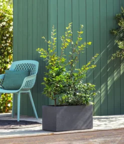 Kunststoff-Kasten Kebe, Rechteckig, Ca. B100/H40/T40 Cm -Compo Verkaufsgeschäft 6935449 WE MO 001 PflanzkastenKebeAnthrazit