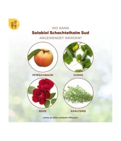 Solabiol® Schachtelhalm Sud, 1 L -Compo Verkaufsgeschäft 6938187 WE DE 003 SolabiolSchachtelhalmSud