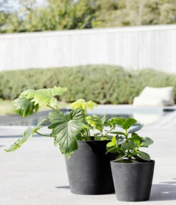 Ecopots Kunststoff-Topf Amsterdam Mit Wassersystem, Rund -Compo Verkaufsgeschäft 6949937 6949945 6949952 6949960 WE MO 001 EcopotsKunststoffTopfAmsterdammitWassersystemrunddunkelgrau