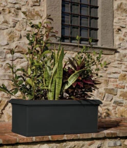 Farmet New Kunststoff-Kasten, Rechteckig, Inkl. Untersetzer -Compo Verkaufsgeschäft 6964936 WE MO 001 FarmetNewKunststoffKastenrechteckig