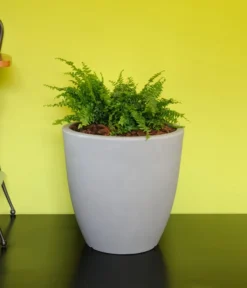 Farmet New Kunststoff-Kübel Orione Alto, Rund, Inkl. Untersetzer -Compo Verkaufsgeschäft 6965396 WE MO 001 FarmetNewKunststoffKuebelOrioneAltorund