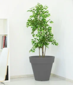 Farmet New Kunststoff-Topf Pegasus, Konisch, Inkl. Untersetzer, Ca. Ø60/H55 Cm -Compo Verkaufsgeschäft 6965685 WE MO 001 FarmetNewKunststoffTopfPegasuskonisch