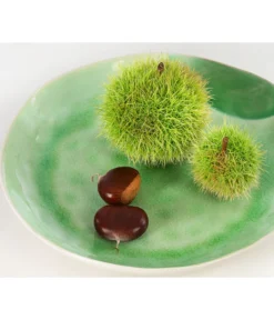 Esskastanie -Compo Verkaufsgeschäft 7091580 PR DE 002 CastaneaSativaEsskastanieDehnerExpressHerzig