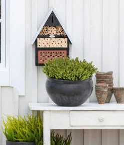 Schneeheide -Compo Verkaufsgeschäft 7172034 WE MO 001 Schneeheide FirstDinner