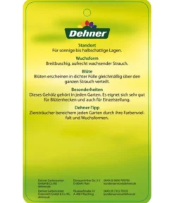 Forsythie 'Week-End' - Goldglöckchen -Compo Verkaufsgeschäft 7186869 GoldgloeckchenWeekend Etikett 2