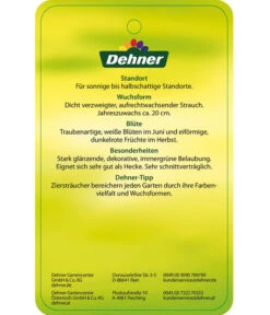 Portugiesischer Kirschlorbeer 'Angustifolia' -Compo Verkaufsgeschäft 7362833 PortugiesischerKirschlorbeerAngustifolia Etikett 2