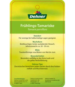 Frühlings-Tamariske -Compo Verkaufsgeschäft 7495427 Fruehlings Tamariske Etikett 2
