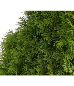 7 Meter Lebensbaum 'Smaragd', 20 X Ca. 100-125 Cm -Compo Verkaufsgeschäft 7513534 WE DE 001 ThujaLebensbaumOccidentalisSmaragd20LDehnerExpressHerzig 1