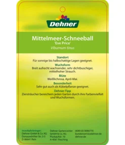Mittelmeer-Schneeball, Stämmchen -Compo Verkaufsgeschäft 7539406 Mittelmeer SchneeballEvePrice Etikett 2
