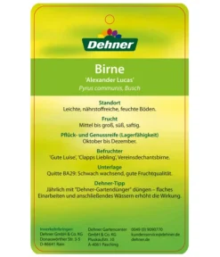 Winterbirne 'Alexander Lucas' -Compo Verkaufsgeschäft 7602709 BirneAlexanderLucas Etikett 2