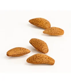 Mandelbaum -Compo Verkaufsgeschäft 7603889 WE DE 002 MandelPalatinaPrunusDulcisDehnerExpressHerzig