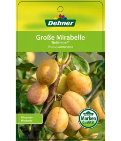 Dehner Mirabelle 'Bellamira' -Compo Verkaufsgeschäft 7611163 GrosseMirabelleBellamira Etikett 1
